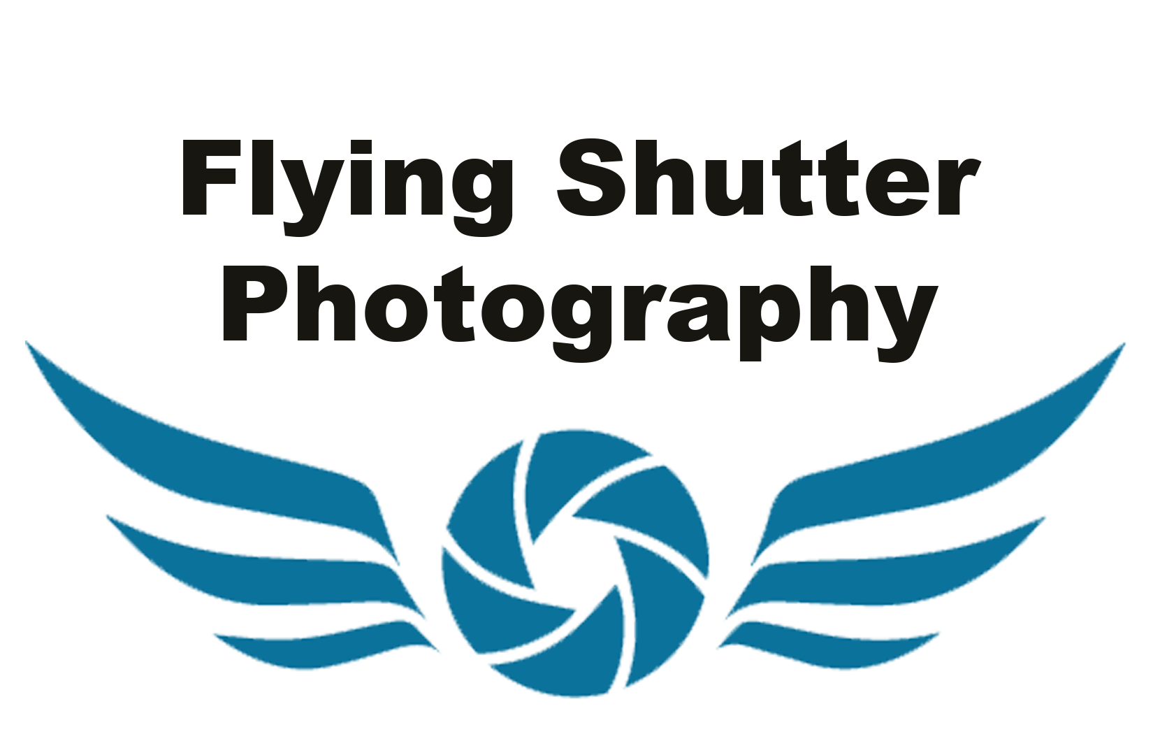 Flying Shutter